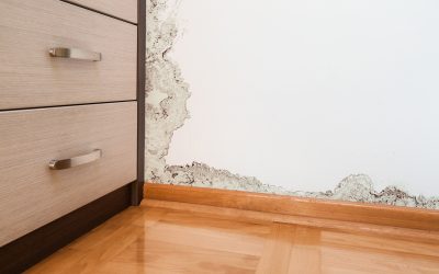 Practical Solutions for Water Damage Geelong VIC That Protect Your Investment